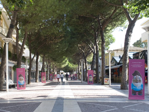 cattolica viale